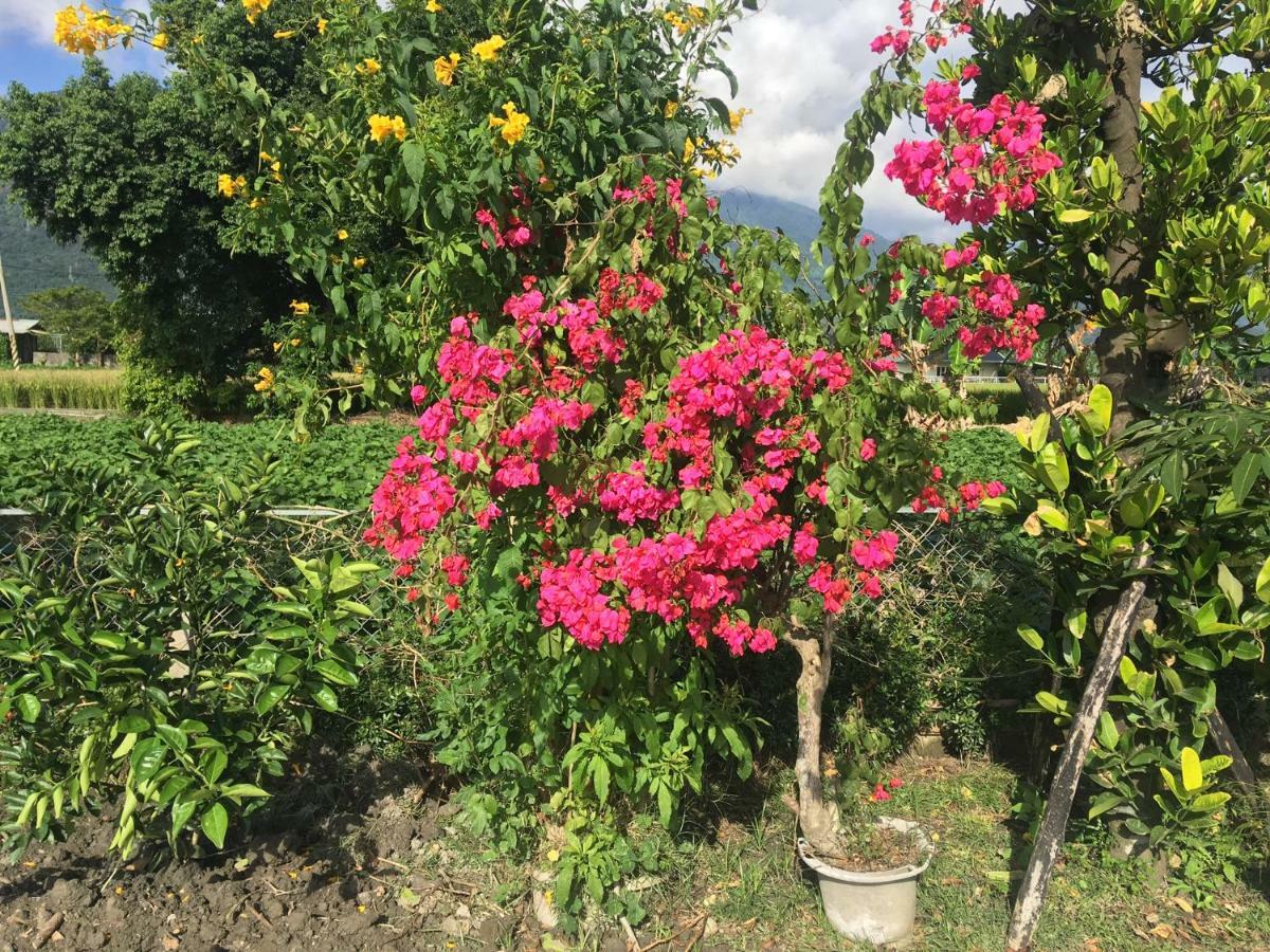 Bo Jue Farm Stay Ji’an Zewnętrze zdjęcie